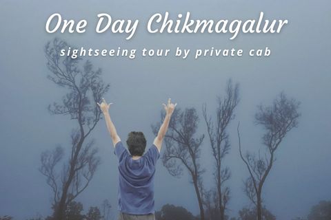 One Day Chikmagalur Sightseeing Tour by Cab