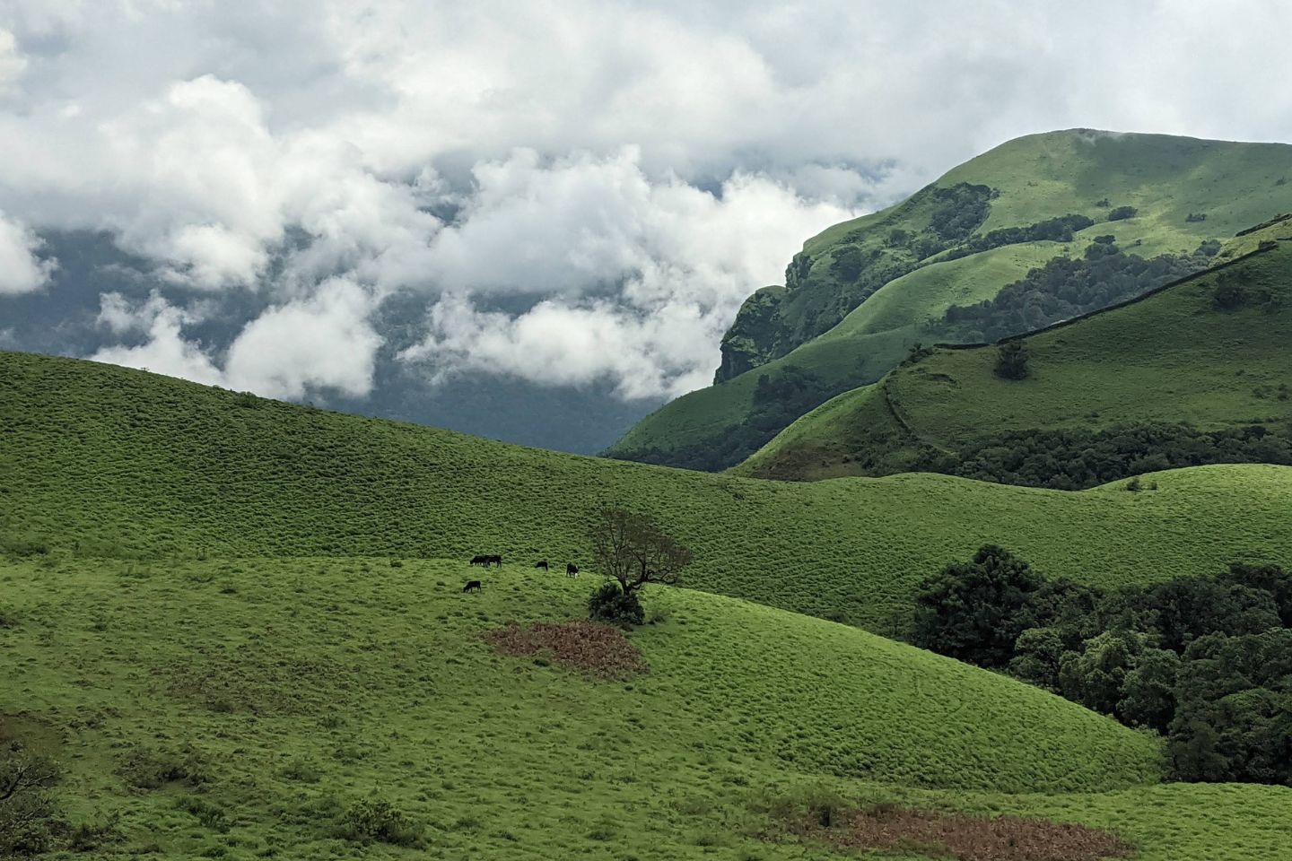 Ballalarayana Durga Fort