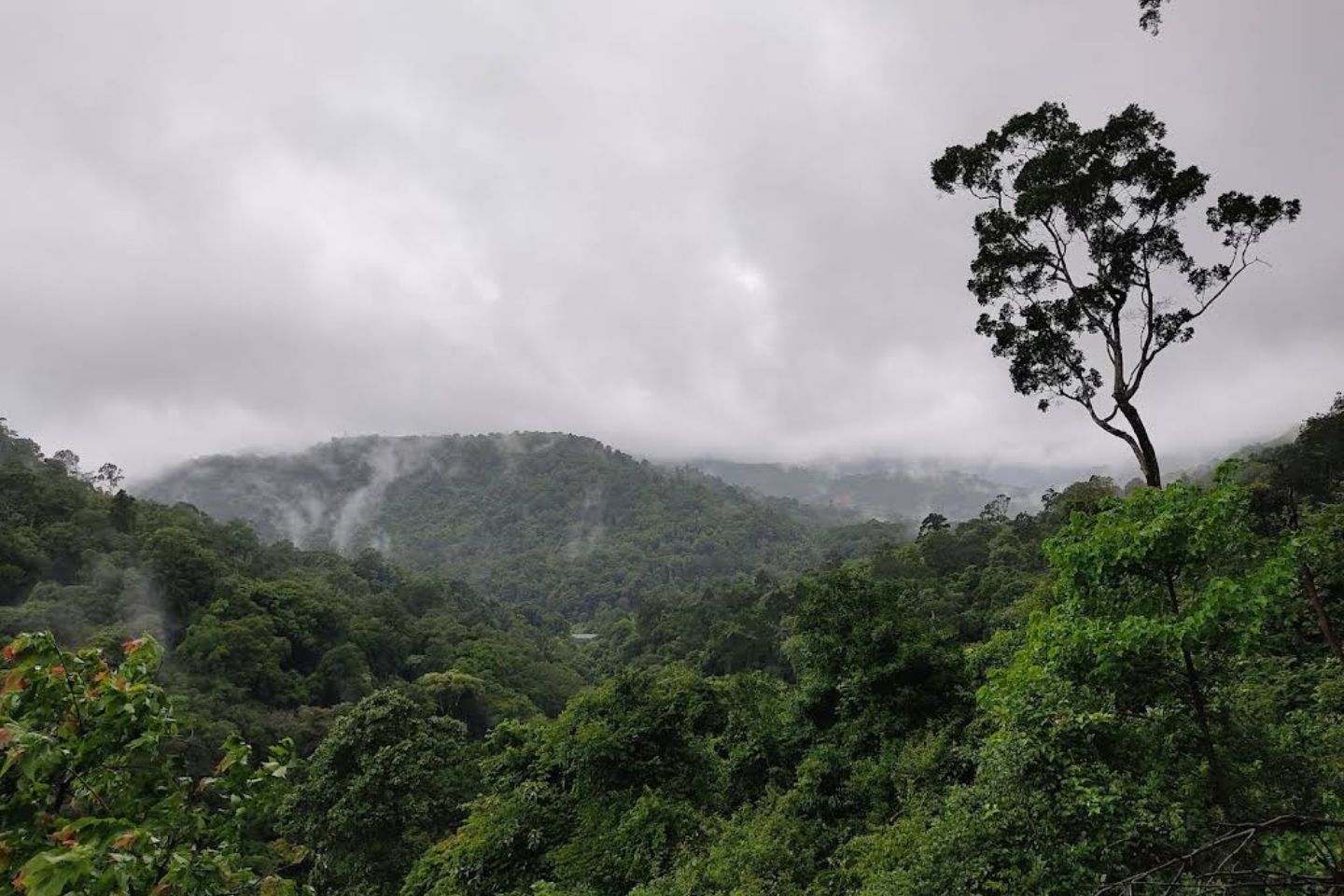 Kavikal Gandi View Point