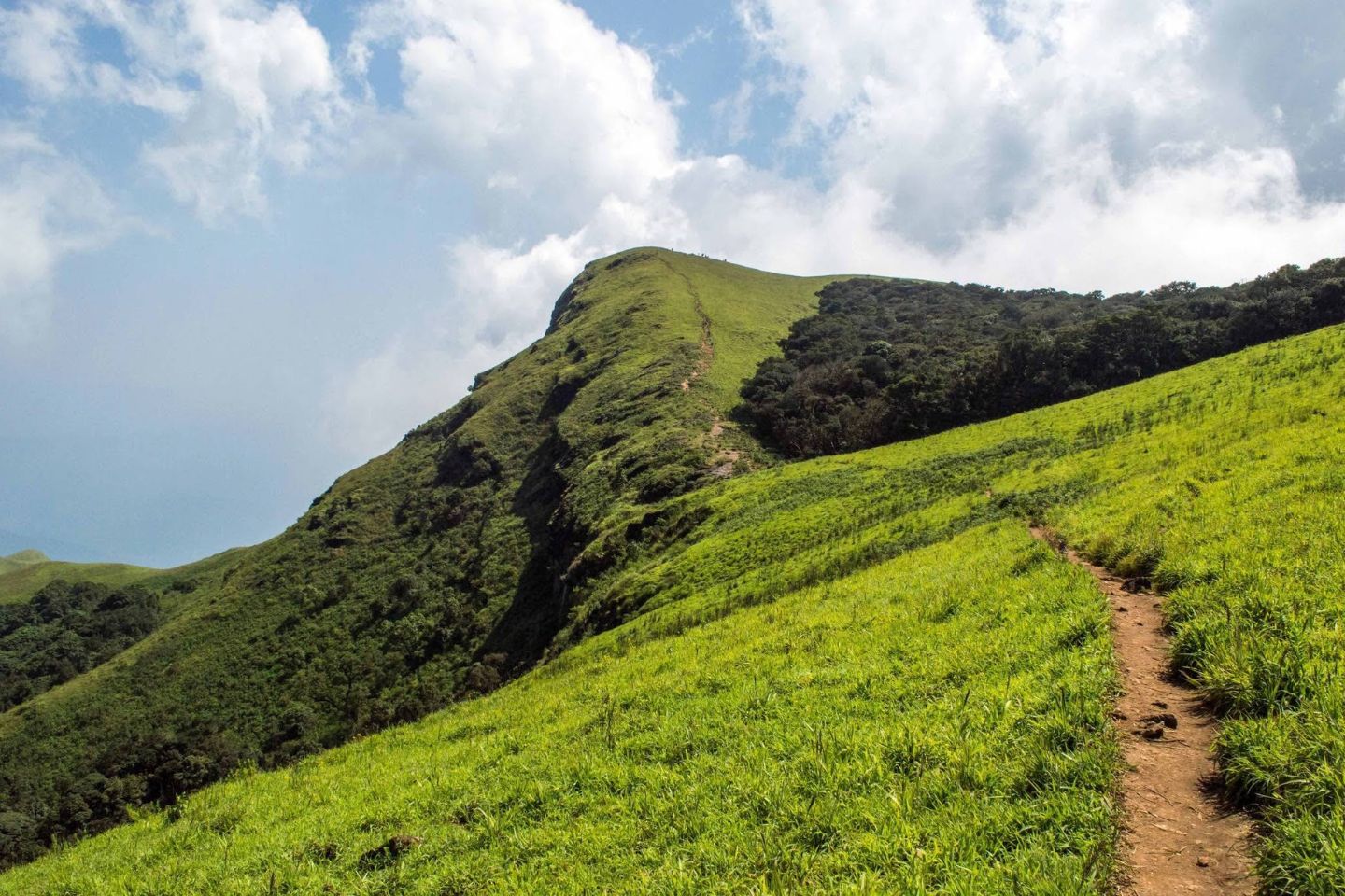 Kudremukh National Park